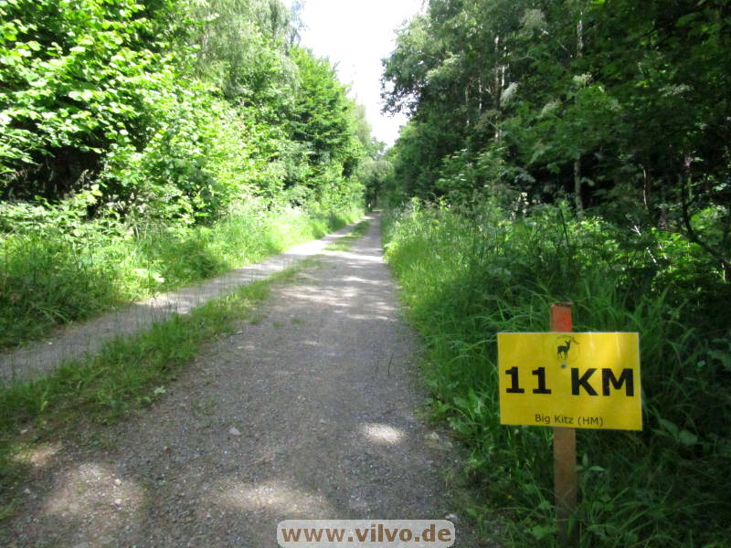 26hahn141.jpg 26hahn141.jpg