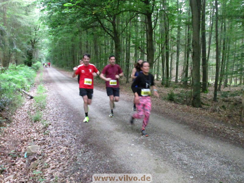 26hahn155.jpg