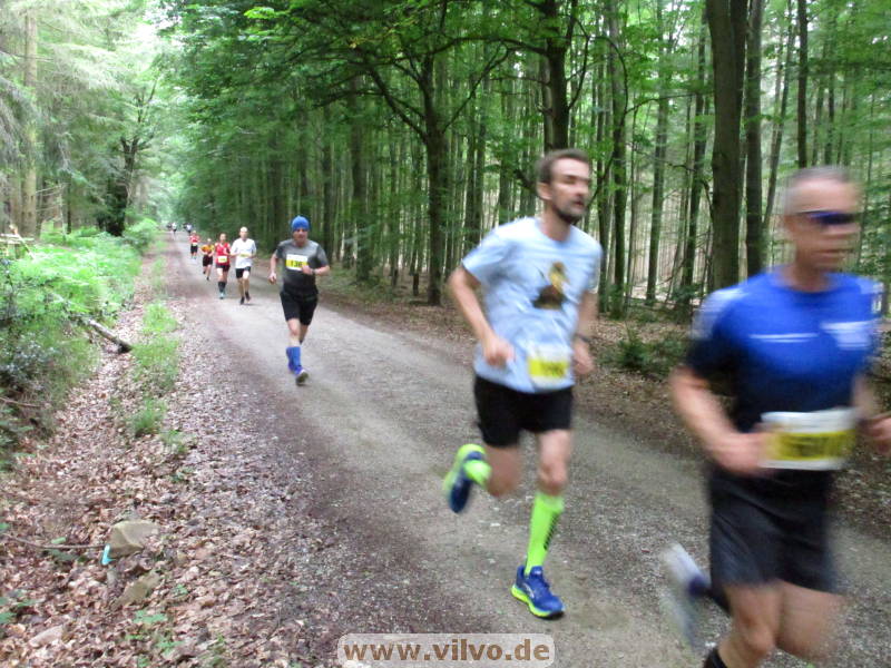 26hahn168.jpg 26hahn168.jpg