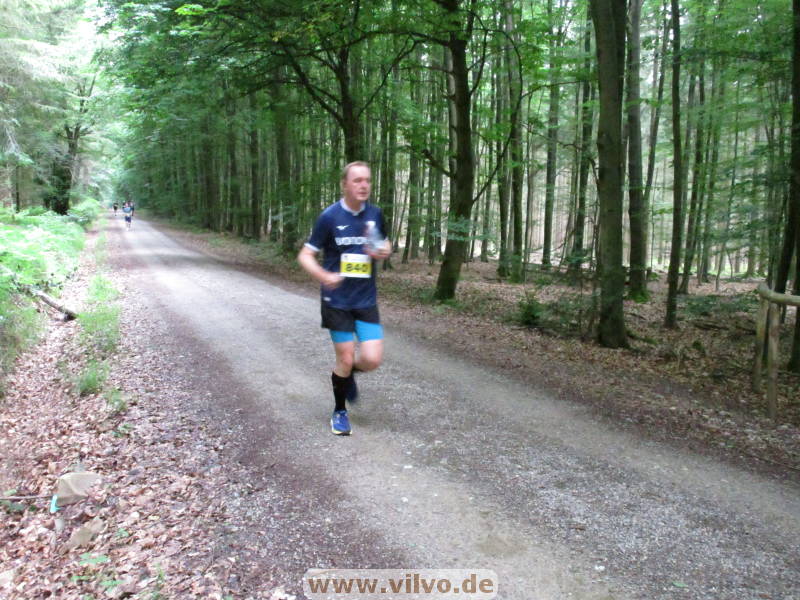 26hahn175.jpg