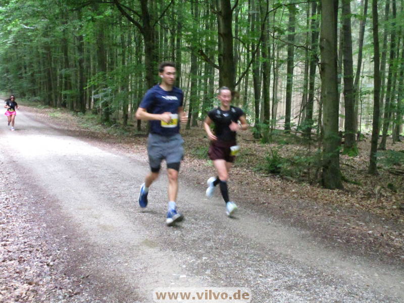 26hahn180.jpg