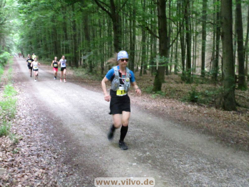 26hahn184.jpg
