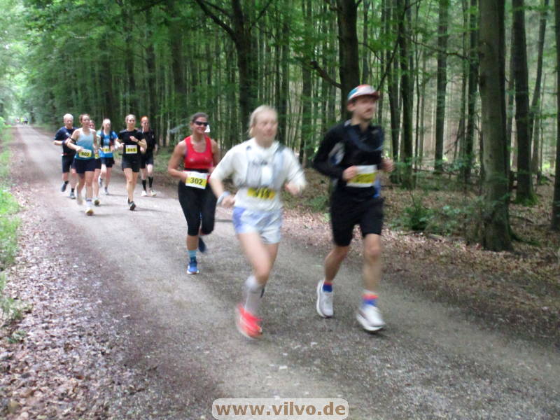 26hahn189.jpg 26hahn189.jpg
