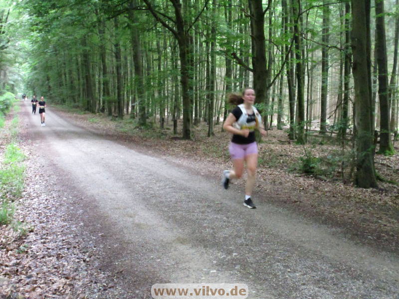 26hahn197.jpg