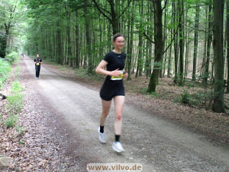 26hahn198.jpg