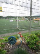 26hahn003.jpg
