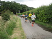 26hahn050.jpg