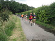 26hahn056.jpg