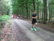 26hahn154.jpg