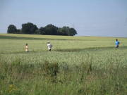 26kreuzweingarten129.jpg