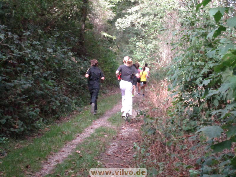 26scheven009.jpg 26scheven009.jpg