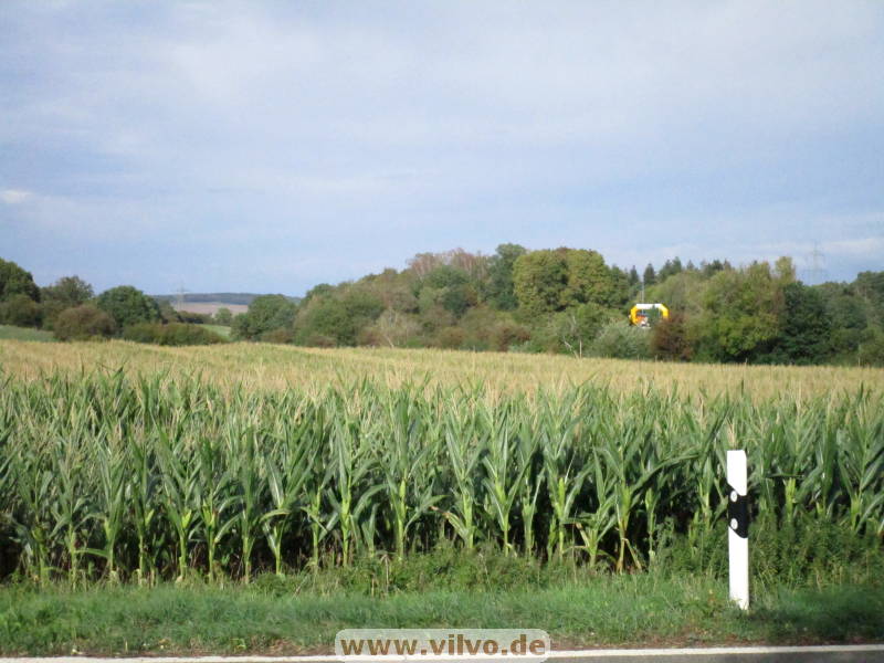 26scheven023.jpg