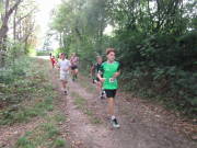 26scheven007.jpg