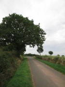 26scheven043.jpg