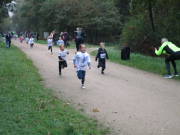26hambachwald007.jpg
