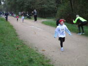 26hambachwald009.jpg