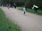 26hambachwald011.jpg