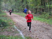 26hambachwald024.jpg