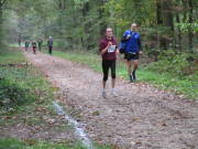 26hambachwald025.jpg