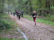 26hambachwald026.jpg