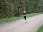 26hambachwald030.jpg