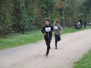 26hambachwald031.jpg