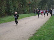 26hambachwald033.jpg