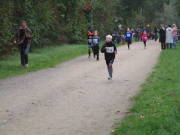 26hambachwald036.jpg