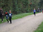 26hambachwald037.jpg
