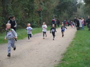 26hambachwald040.jpg