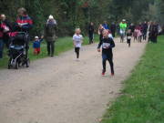 26hambachwald043.jpg