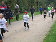 26hambachwald044.jpg