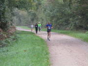 26hambachwald063.jpg