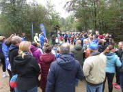 26hambachwald067.jpg