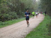 26hambachwald073.jpg