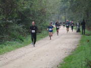 26hambachwald080.jpg