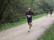 26hambachwald085.jpg