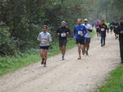 26hambachwald094.jpg