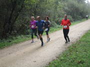 26hambachwald117.jpg