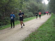 26hambachwald123.jpg