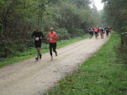 26hambachwald124.jpg