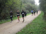 26hambachwald131.jpg