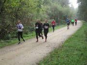 26hambachwald137.jpg