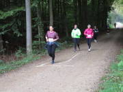 26hambachwald167.jpg