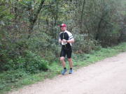 26hambachwald182.jpg